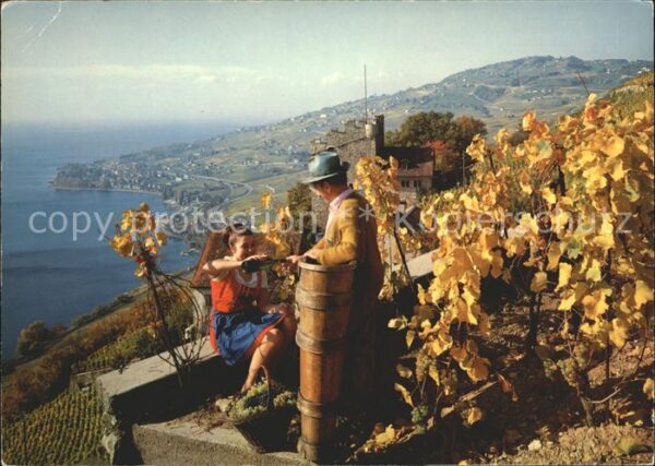 Wein Tour de Marsens Lavaux