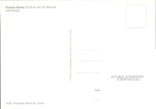 Gemse Fuorcla Surlej Piz Bernina Roseg – Bild 2
