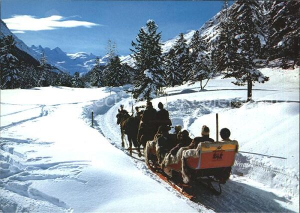 Schlitten Schnee Pferde Rosegtal
