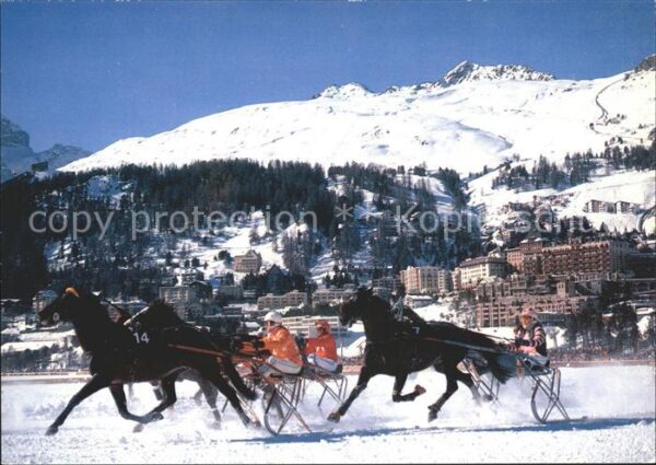 Pferdesport Pferderennen Reitsport St. Moritzersee St. Moritz