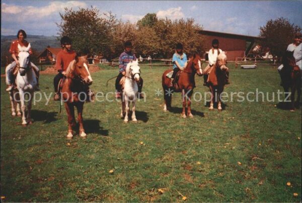 Pony Tiere Reiten Bauernhof Reuenthal