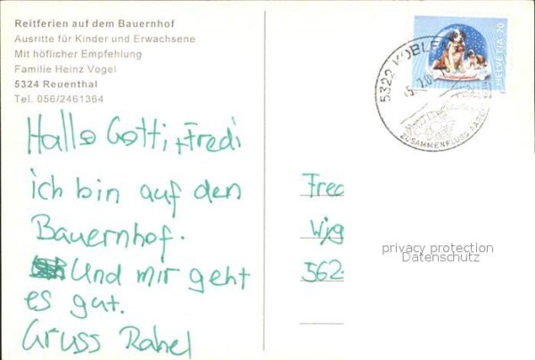 Pony Tiere Reiten Bauernhof Reuenthal – Bild 2