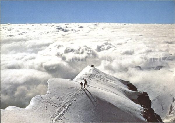Gletscher Piz Palü O.-Gipfel Bergsteiger