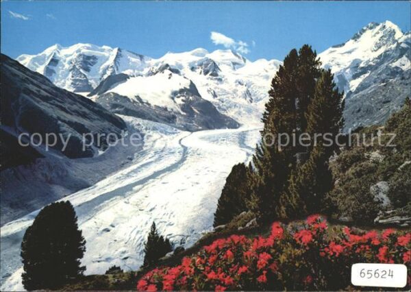 Gletscher Morteratschgletscher Piz Palü Bellavist