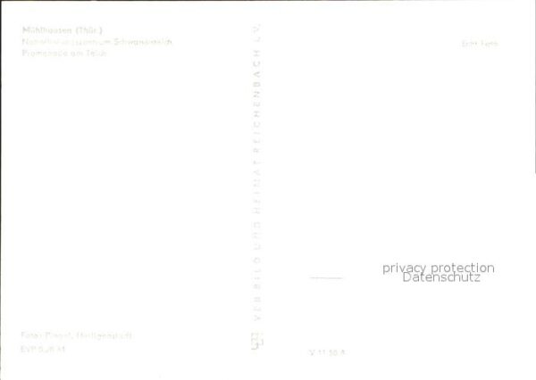 Muehlhausen Thueringen Schwanenteich – Bild 2