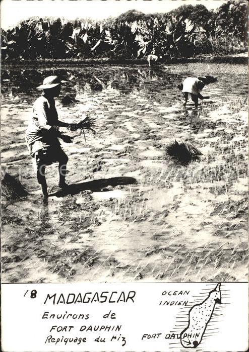 Madagascar Bauern beim Pflanzen Fort Dauphin