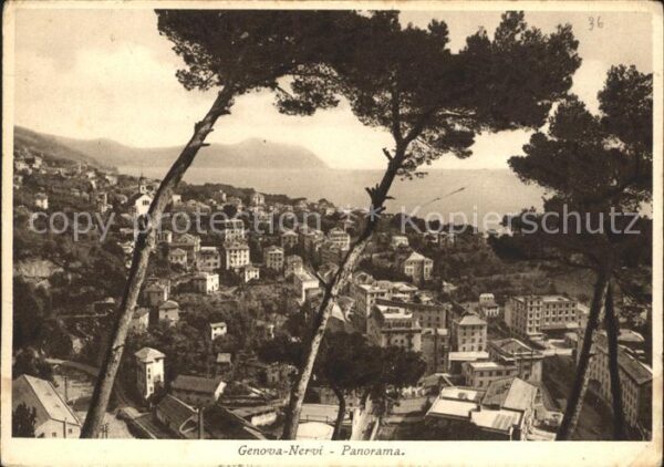 Nervi