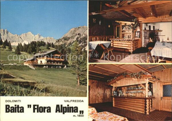 Dolomiten Valfredda Baita Flora Alpina