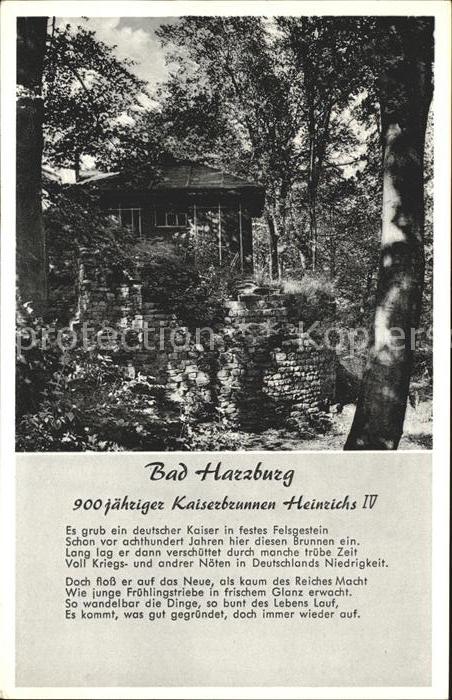 Bad Harzburg 900jähriger Kaiserbrunnen Heinrichs IV