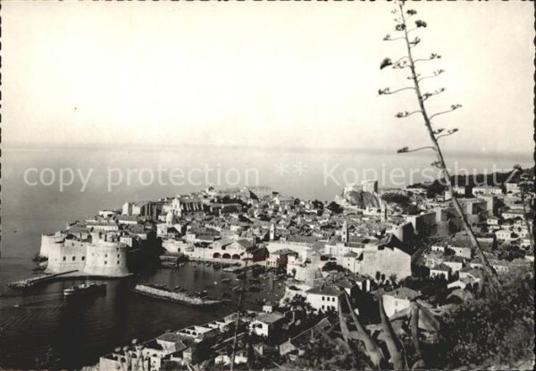 Dubrovnik Ragusa Panorama s agavom