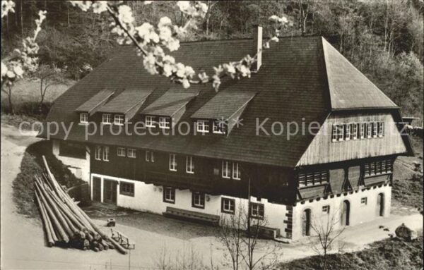 Wolfach Schwarzwaldheim Thomas Morus Abrahamsho