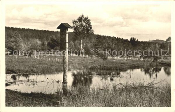 Schwenningen Neckar Neckarsprung im Schwenninger Moos