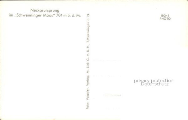 Schwenningen Neckar Neckarsprung im Schwenninger Moos – Bild 2