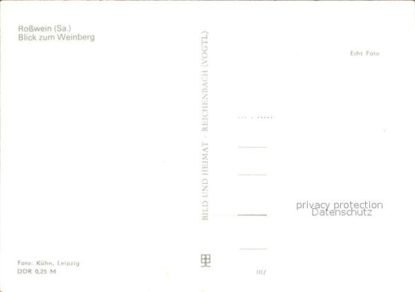 Rosswein mit Weinberg – Bild 2