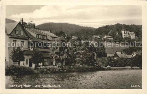 Ilsenburg Harz Forellenteich