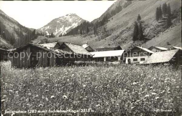 Fallerschein Bschlabser Kogel