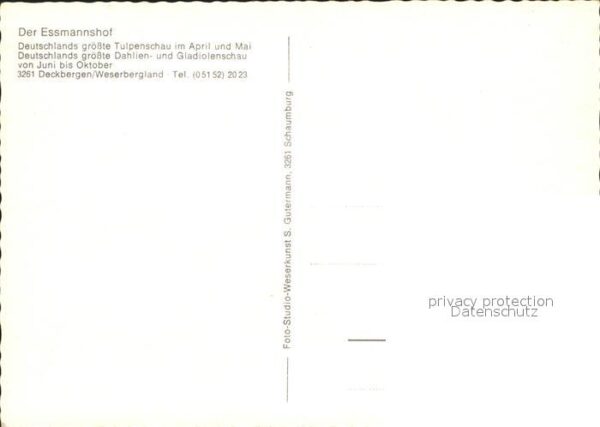 Deckbergen Essmannshof Tulpenfelder – Bild 2