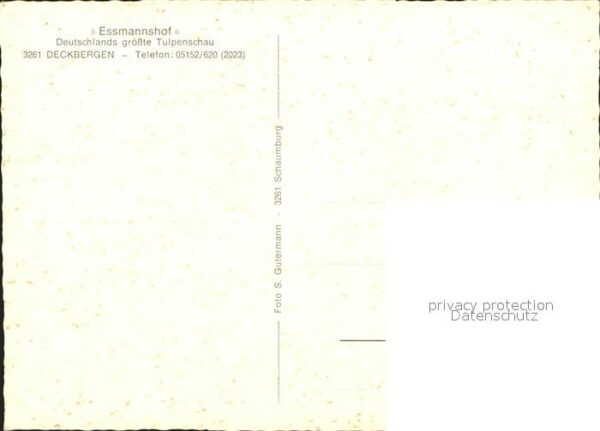 Deckbergen Essmannshof Tulpenschau – Bild 2