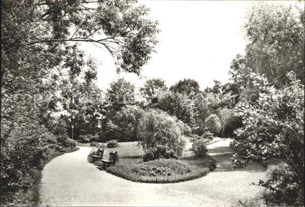 Schmiedeberg Bad Stadtpark
