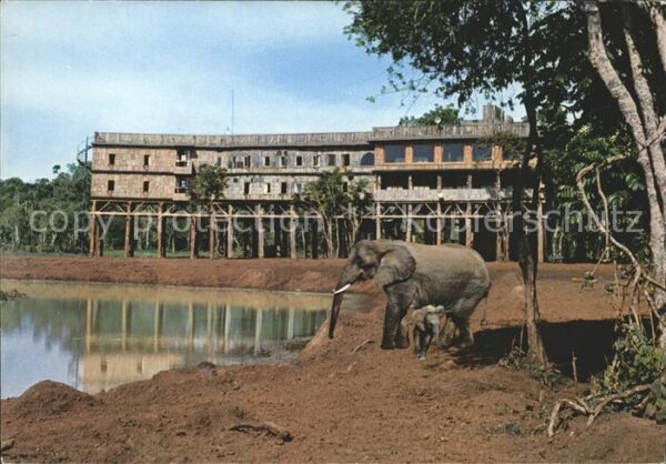 Nyeri Treetops Elefantenpark