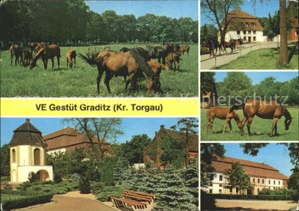 Graditz VE Gestüt Pferde