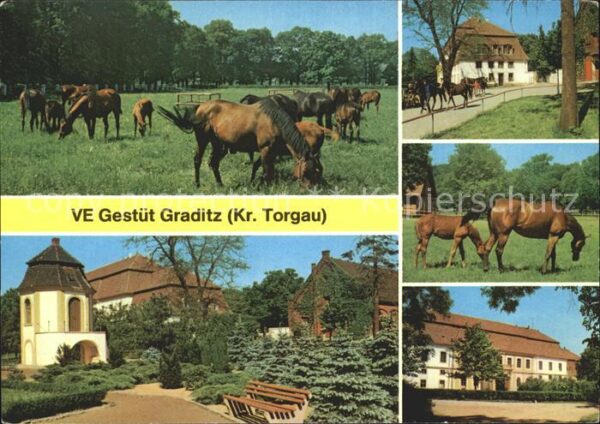 Graditz Pferdegestüt