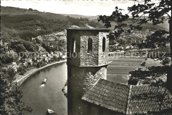 Neckarsteinach Burg