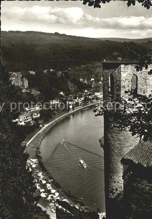 Neckarsteinach Blick von Burg Schwalbennest