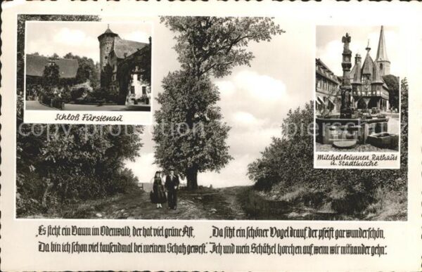 Fuerstenau Odenwald Schloss Milchelsbrunnen Rathaus Stadtki