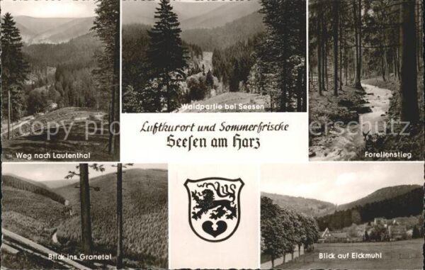 Seesen Harz Weg Lautenthal Granetal Eickmühl Forell