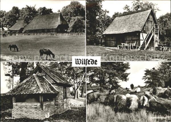 Wilsede Lueneburger Heide Altes Bauernhaus Pferd Treppenspeicher