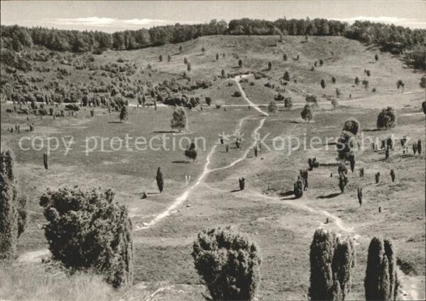 Wilsede Lueneburger Heide Totengrund