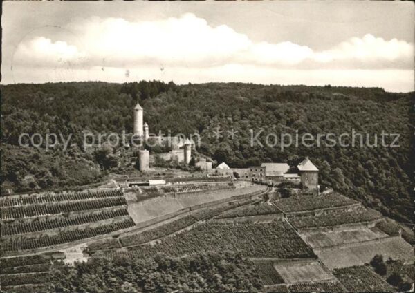 Neckarzimmern Burg Homberg
