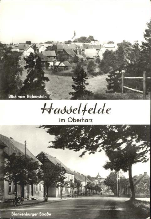 Hasselfelde Blick vom Rabenstein Blankenburger Stra