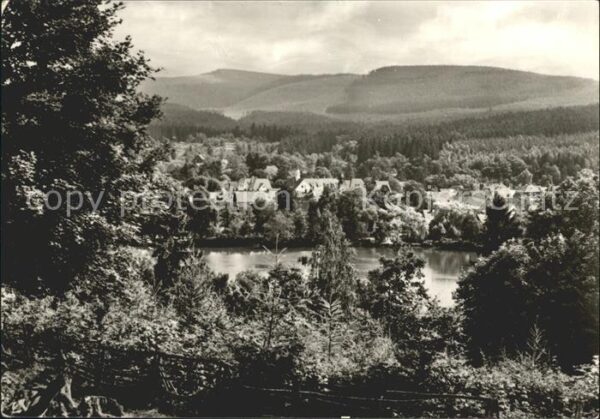 Georgenthal mit Hammerteich