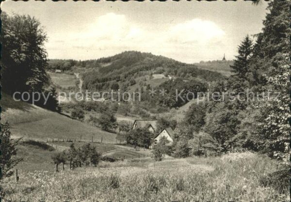 Teutoburgerwald mit Hermannsdenkmal