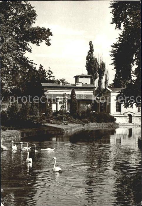 Potsdam Sanssouci Römische Bäder Schwäne