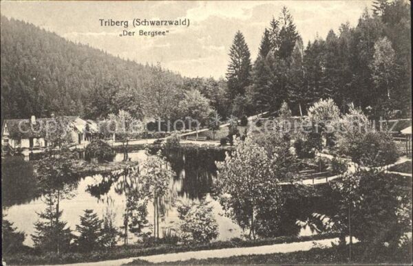 Triberg Schwarzwald Bergsee