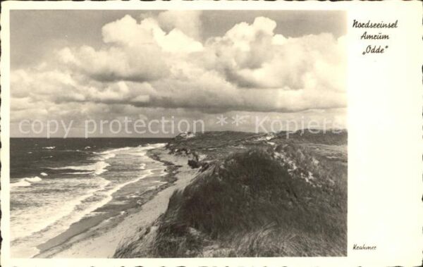 Amrum Odde