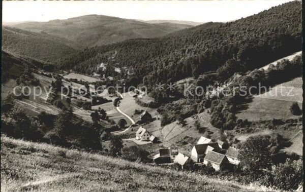 Struempfelbrunn Unterer Höllgrund Panorama