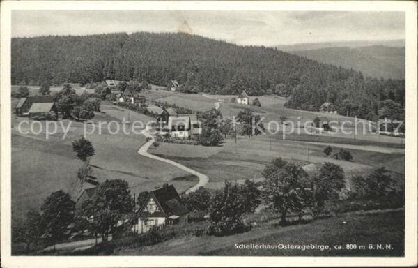 Schellerhau Panorama