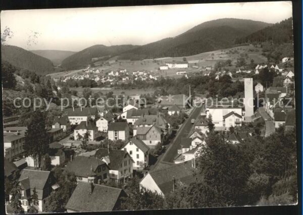 Schiltach Panorama