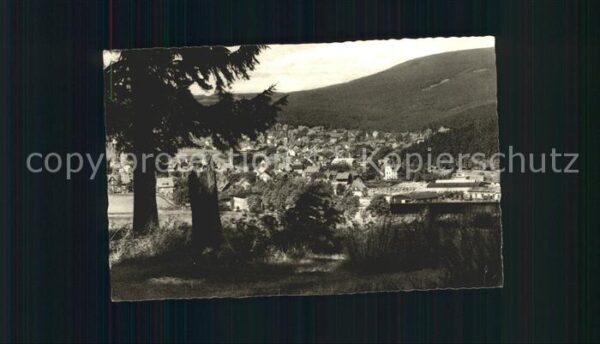 Braunlage Adamsblick