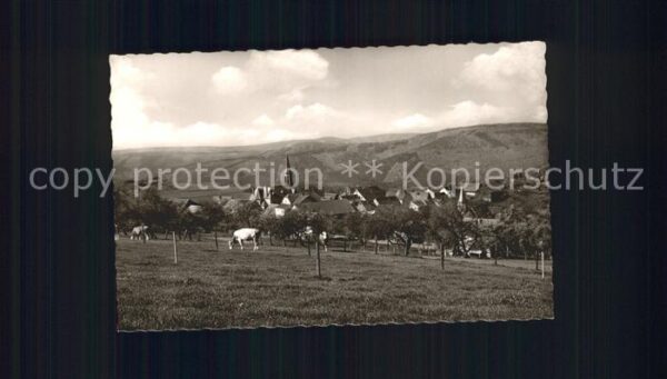 Rothenberg Odenwald Kühe Ortsansicht