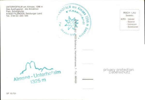 Filzmoos Unterhofalm – Bild 2