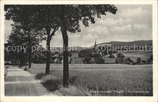 Caemmerswalde
