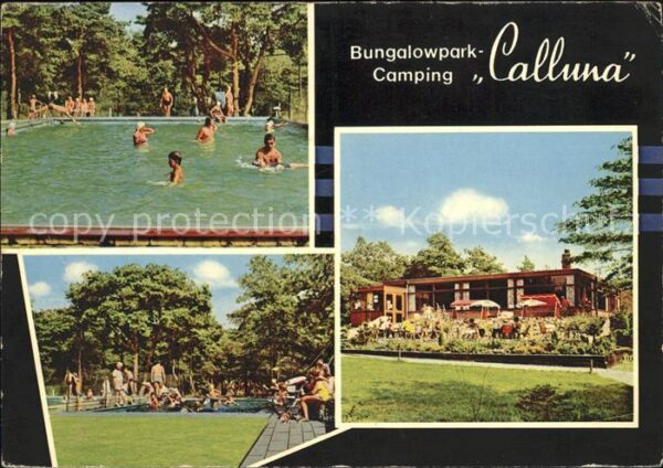 Ommen Overijssel Bungalowpark Camping Calluna