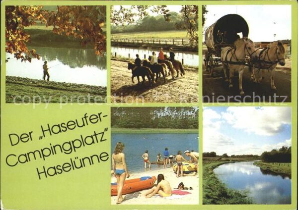 Haseluenne Haseufercampingplatz Pferdekutsche Ange