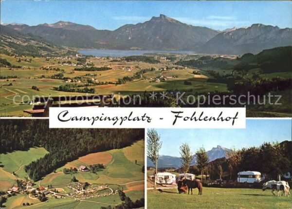 Mondsee Salzkammergut Campingplatz Fohlenhof Pony