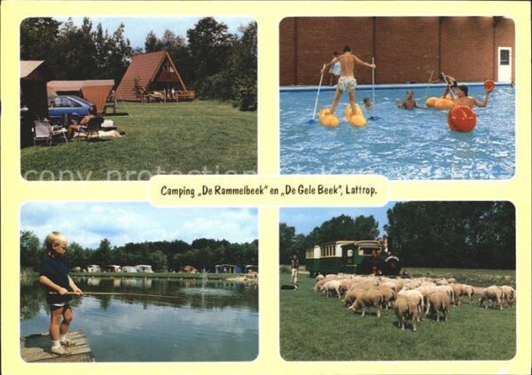 Lattrop Camping De Rammelbeek Angeln Swimming P